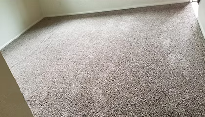 Gray bedroom carpet clean and fluffed up after deep carpet cleaning